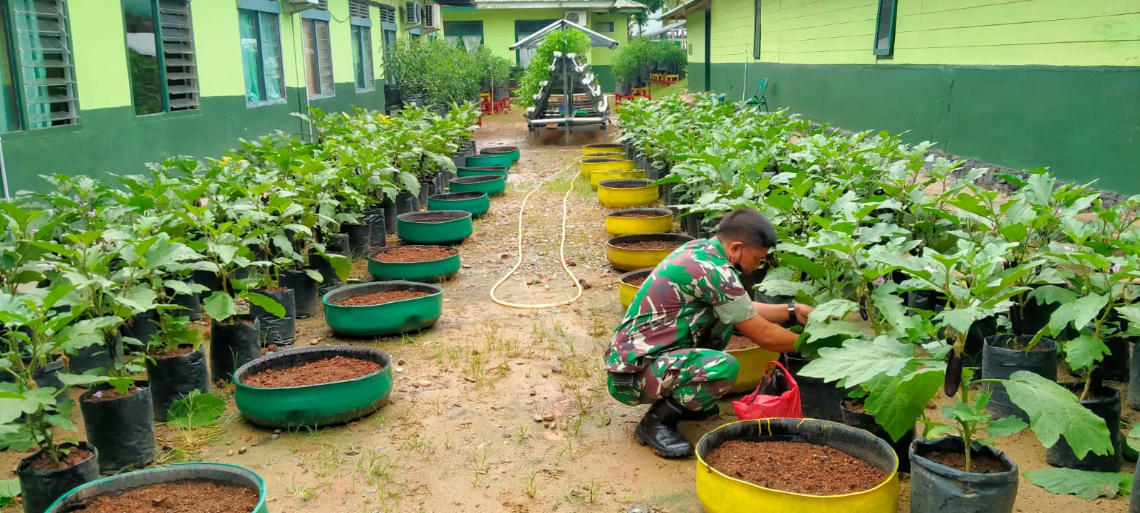 memanfaatkan barang bekas
