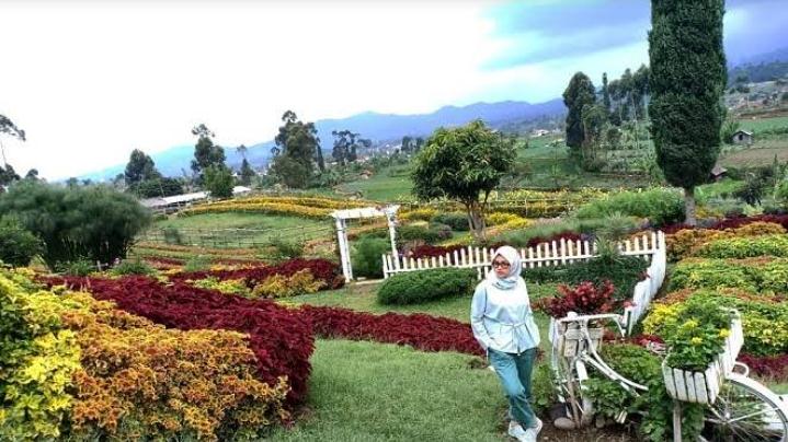 Inovasi Pemanfaatan Perkebunan Menjadi Agrowisata