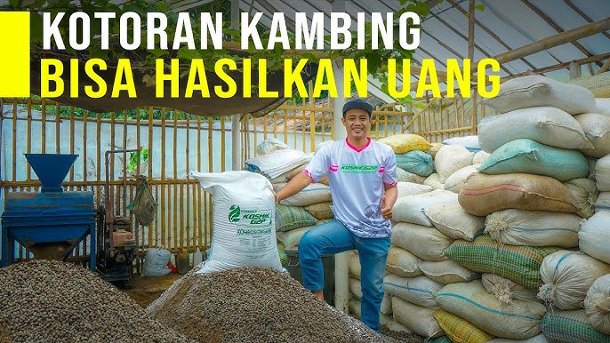 Pemanfaatan Kotoran Hewan Sumber Daya Bernilai