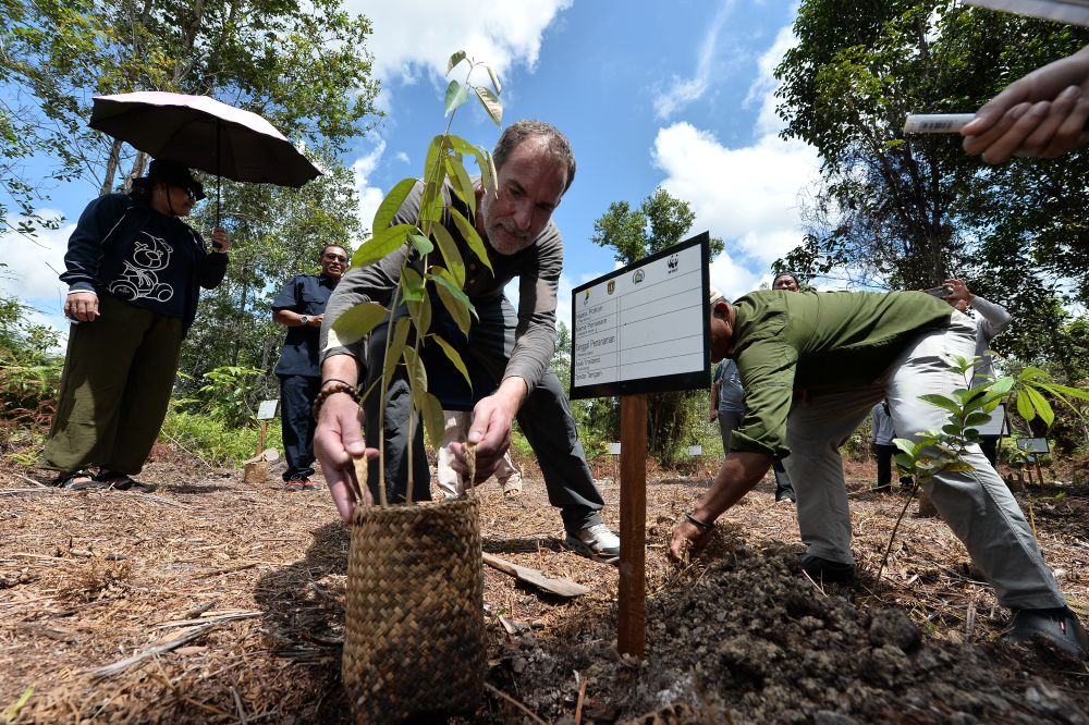 Unicorn Startup Indonesia 2025: Tiga Inovasi Berkelanjutan yang Jadi Kunci Sukses